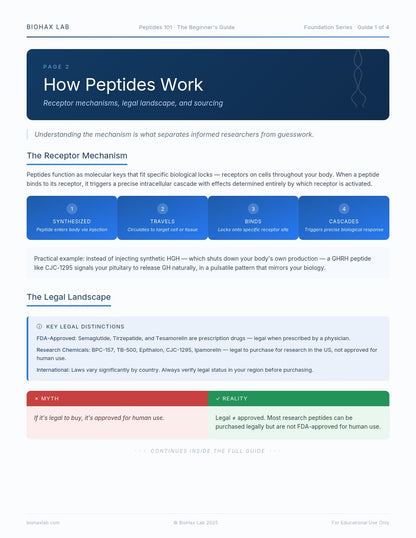 Peptide 101: The Beginner's Complete Guide